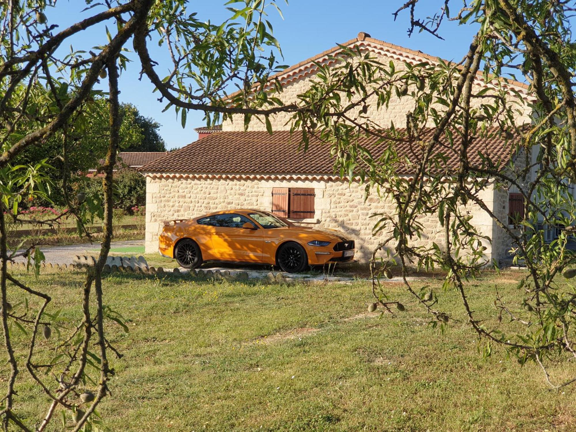 Gite Et Piscine L'Ecrin Aux Oliviers En Cevennes Saint-Christol-lès-Alès Zewnętrze zdjęcie